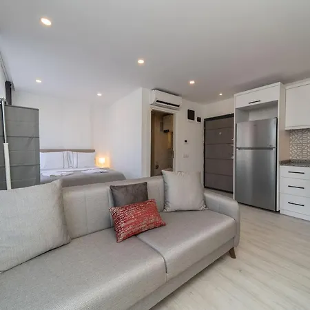 Central And Modern Flat In Muratpasa *